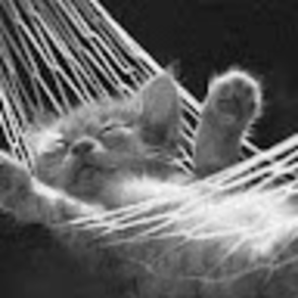 Meet your Posher, Amy - Picture 1 of 1